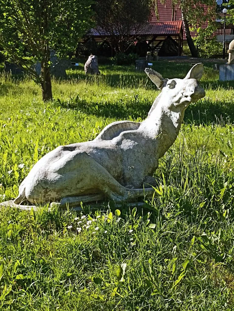 Калининградская область (не только море и янтарь) 