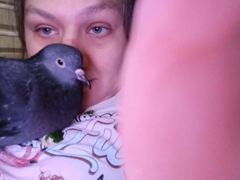Tapтaлeтки & Ко