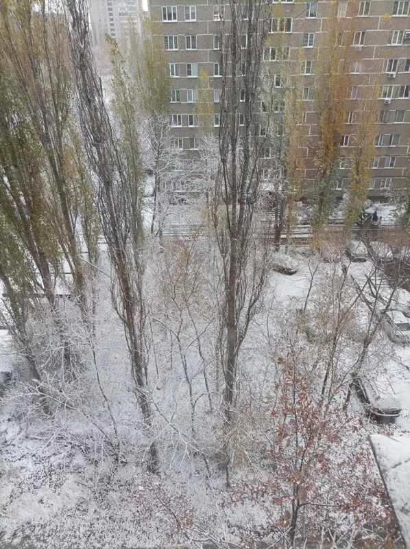 Кафе "У пани Сони"