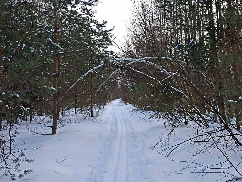 Фотонастроение