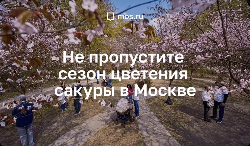 Москва: дресс-код и интересные места