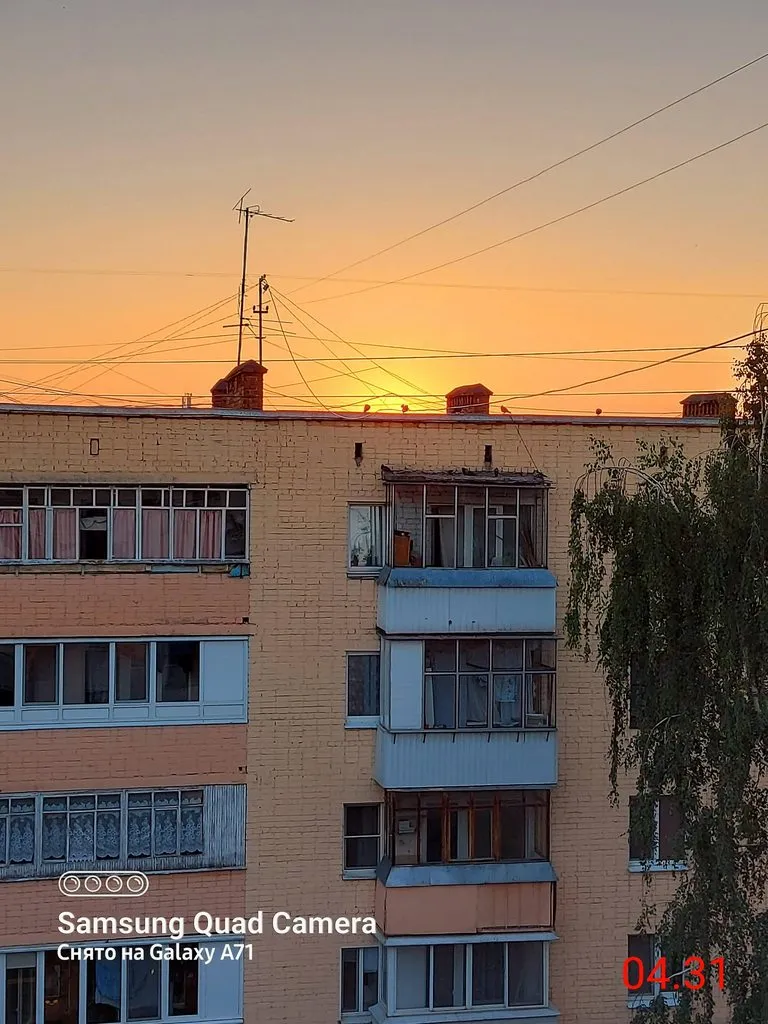 Чайная беседка