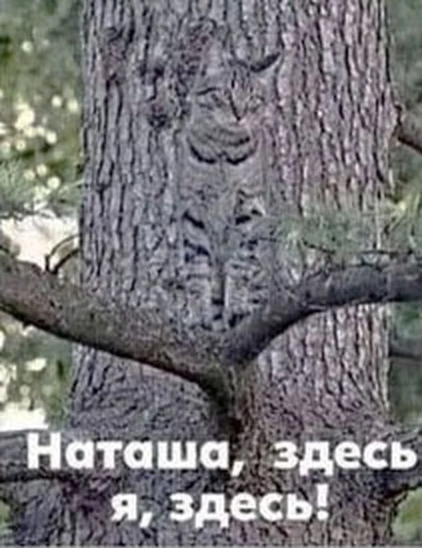 Посмеялся сам - поделись с другом!!!