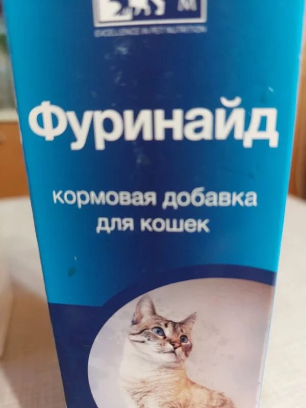 Кто сказал "Мяу"?