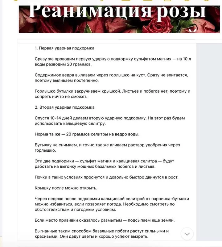Загородная жизнь - обустройство на своей земле во всем ее разнообразии