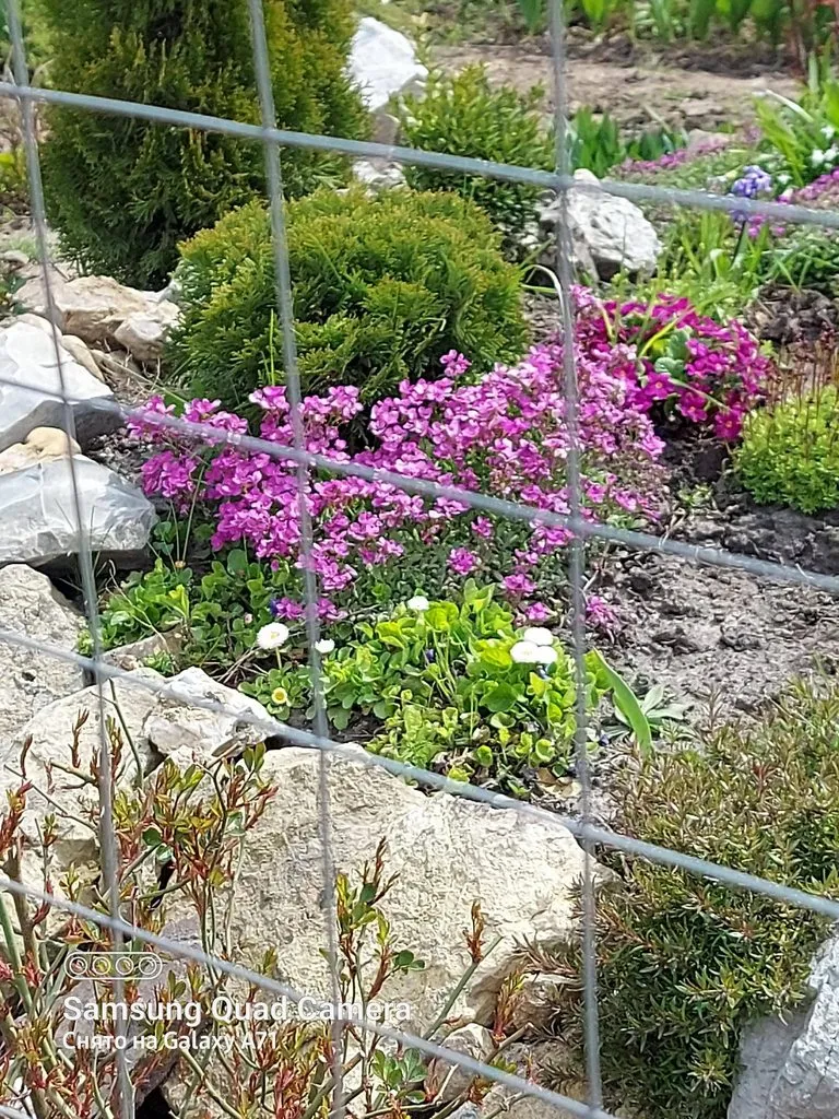 Чайная беседка