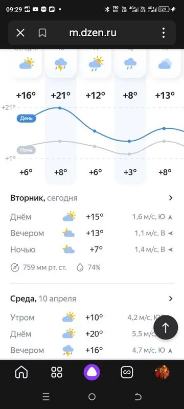 Кафе "У пани Сони"