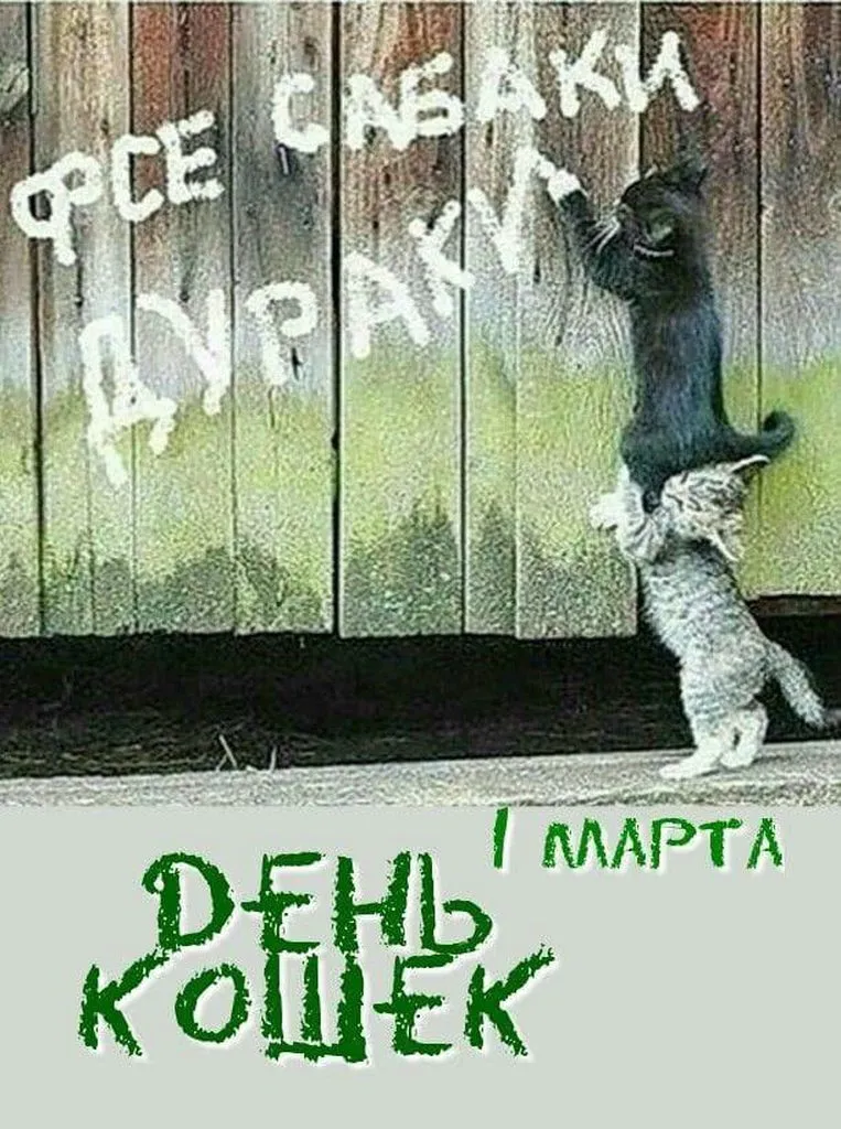 Кафе "У пани Сони"