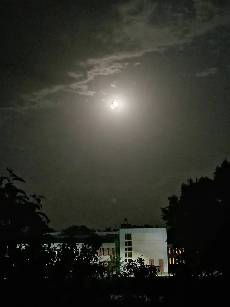 Чайная беседка