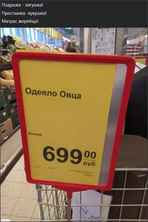 Всюду рифмы