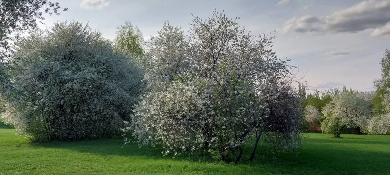 Коломенское