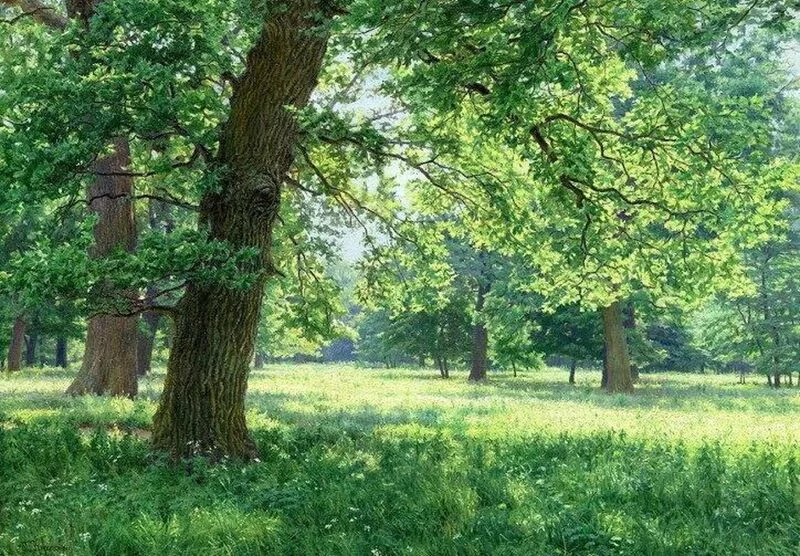 Арт галерея