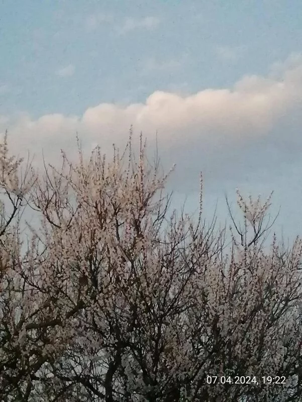 Такое разное небо