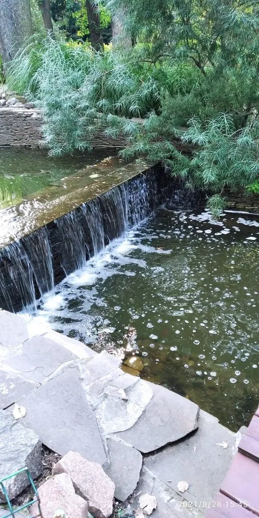 Tapтaлeтки & Ко