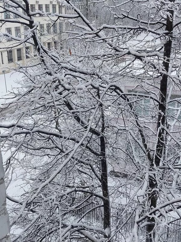 Кафе "У пани Сони"