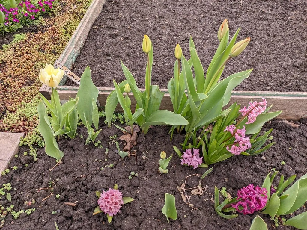 Чайная беседка