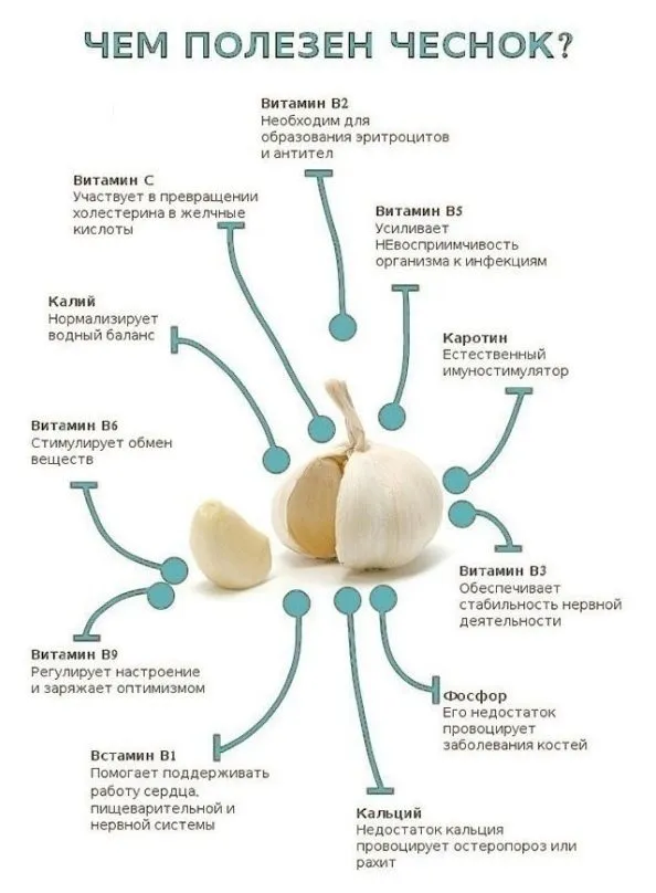 Медицинская инфографика
