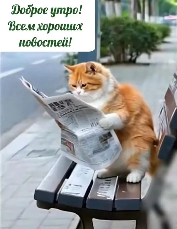 Кафе "У пани Сони"