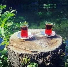 Чайная беседка