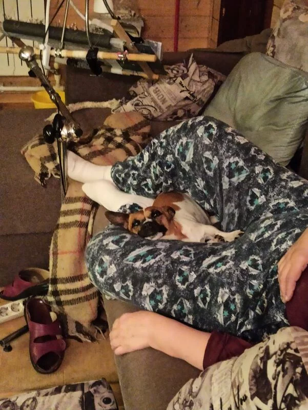 Чайная беседка