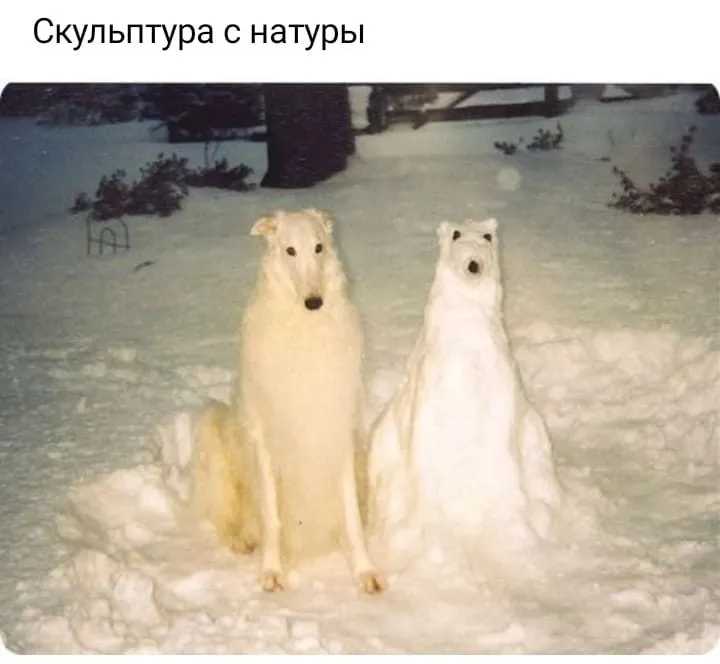 Кафе «У пани Сони»
