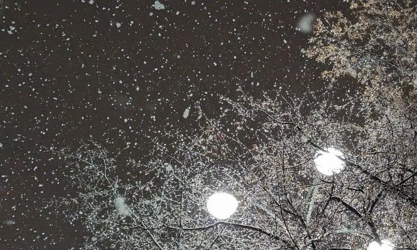 Такое разное небо