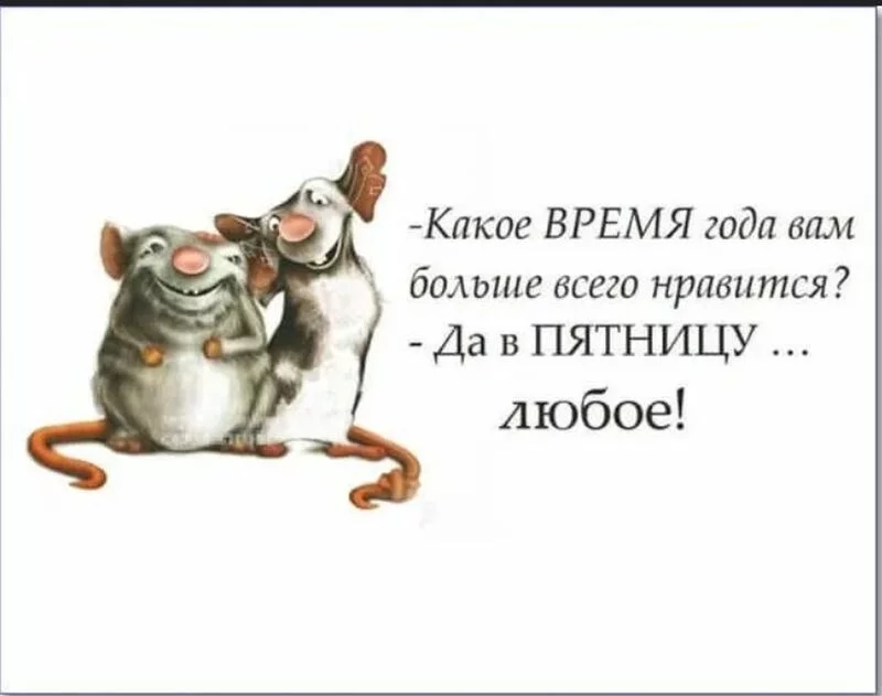 Позитивчик (фото, видео, рассказы для хорошего настроения)