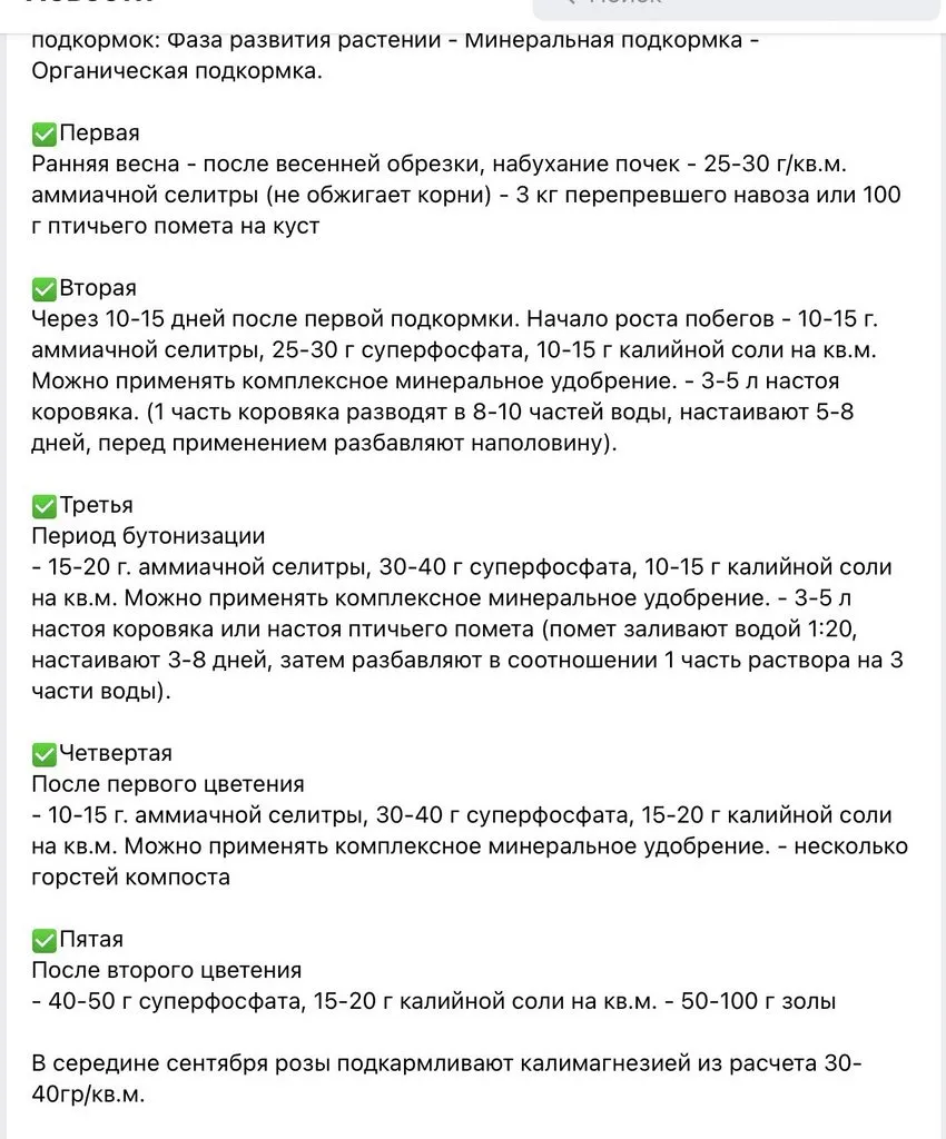 Цветы на моем участке (2022 г.)