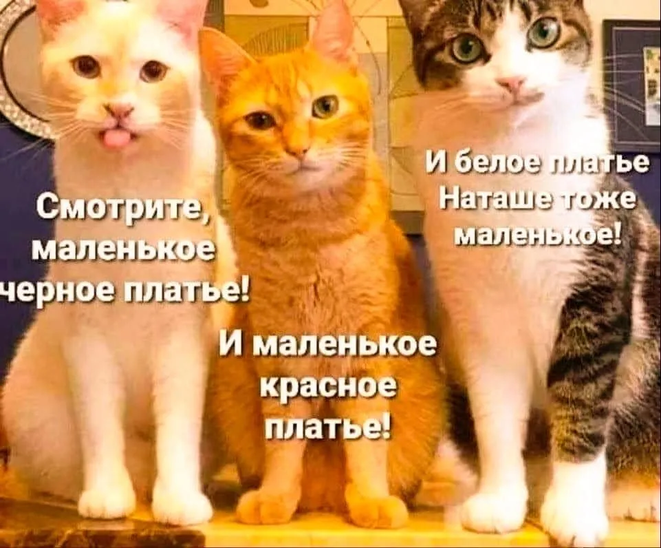 Посмеялся сам - поделись с другом!!!
