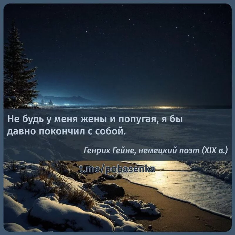 «Не будь у меня жены и попугая, я бы давно покончил с...» height="550" width="550"