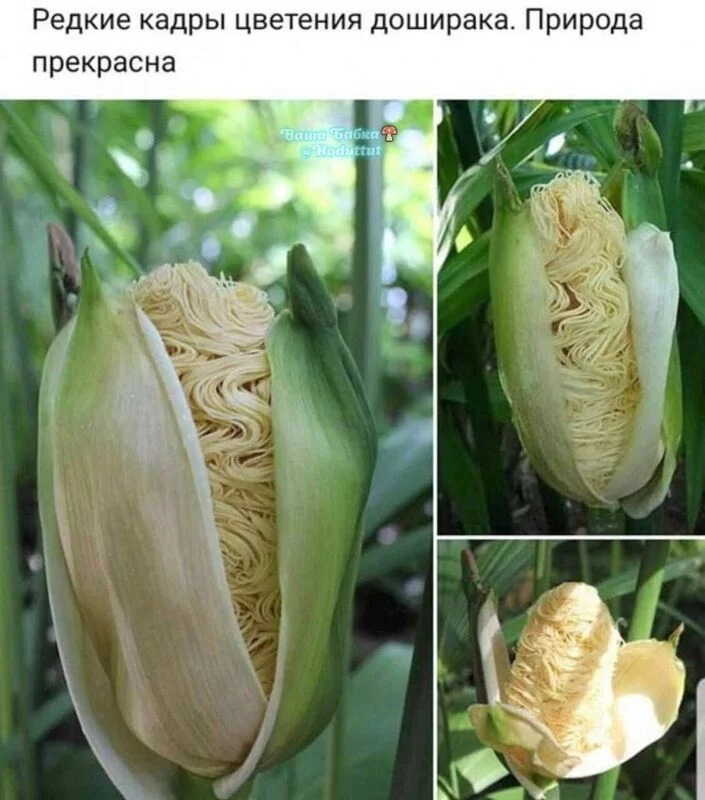 Посмеялся сам - поделись с другом!!!