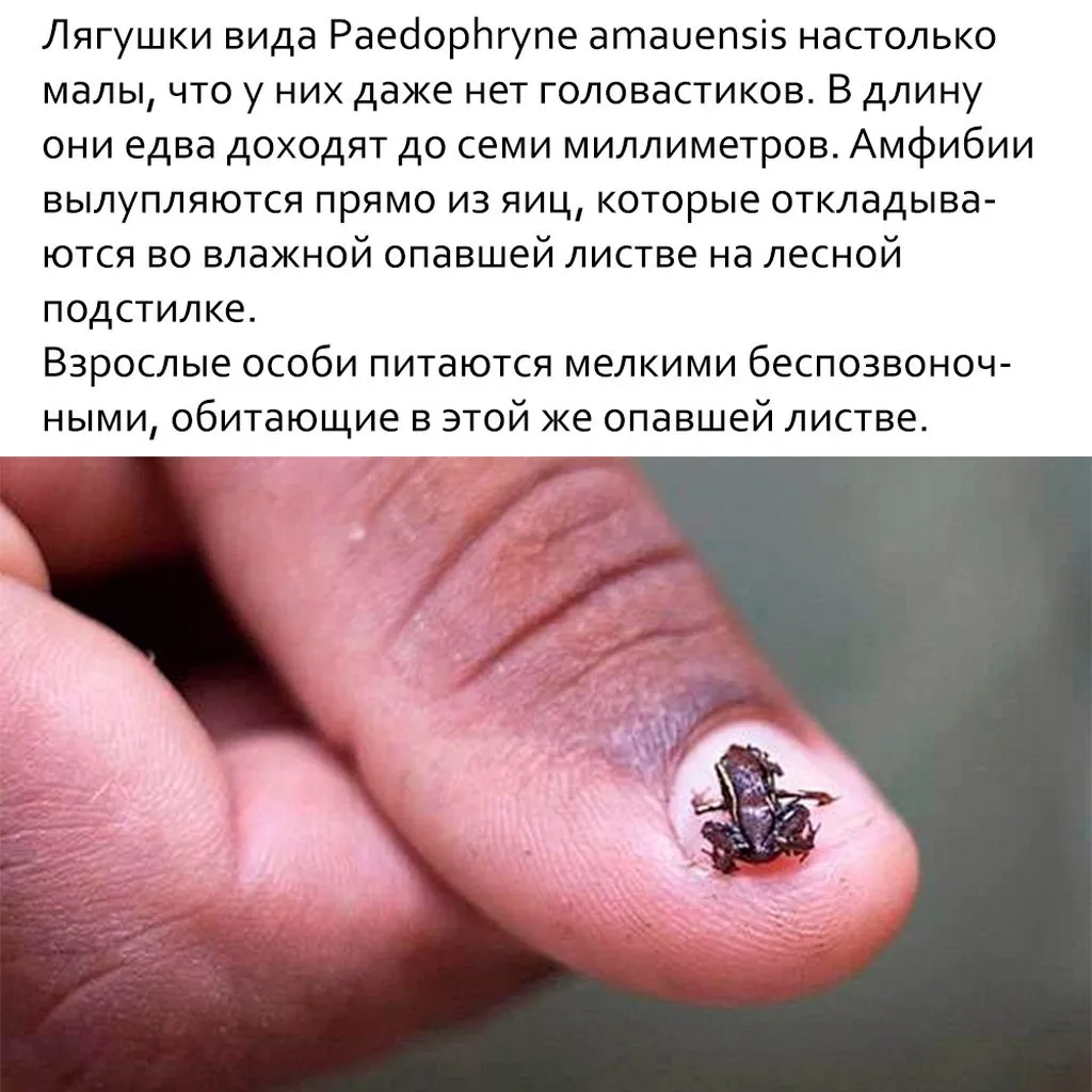 Это интересно!