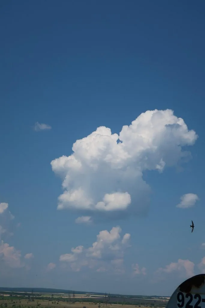 Такое разное небо