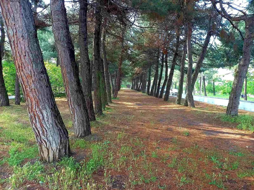 Чайная беседка