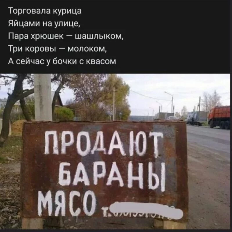 Всюду рифмы