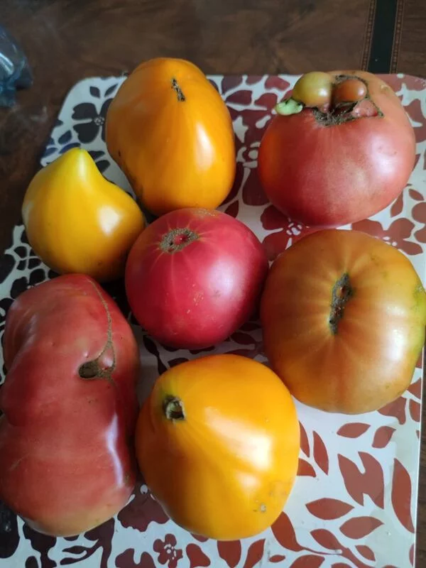 Чайная беседка