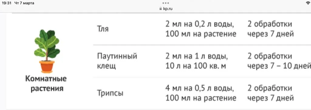 Цветочки: моем, пересаживаем, подкармливаем... (всё о комнатных растениях)