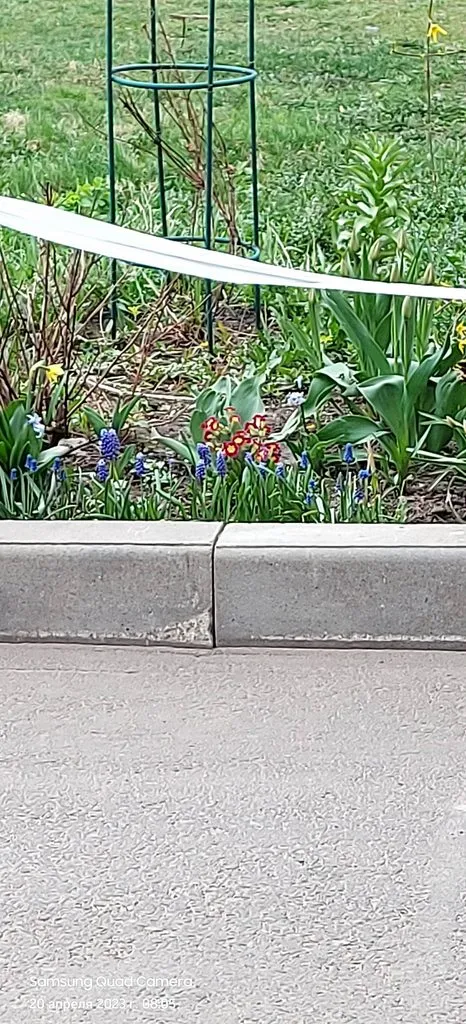 Чайная беседка