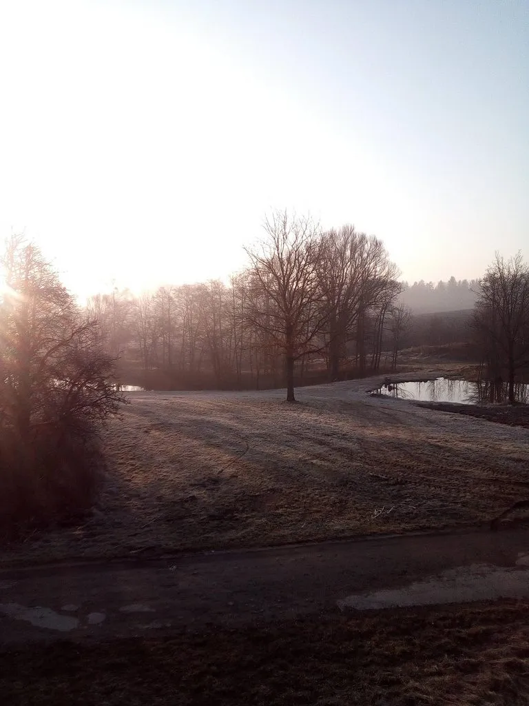 Чайная беседка