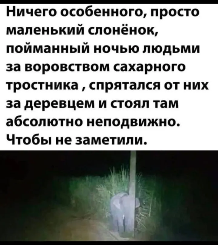 Кафе «У пани Сони»