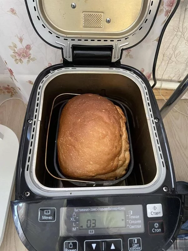 Булка творожная с изюмом (без яиц) в хлебопечке Panasonic
