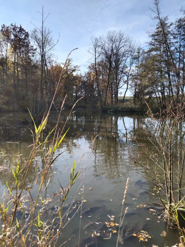 Рыбалка