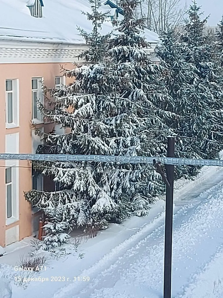 Чайная беседка
