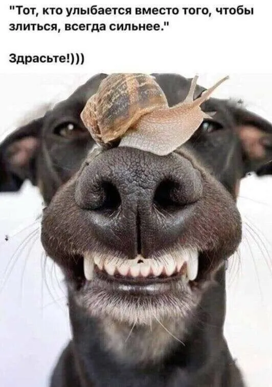 Прекрасное!