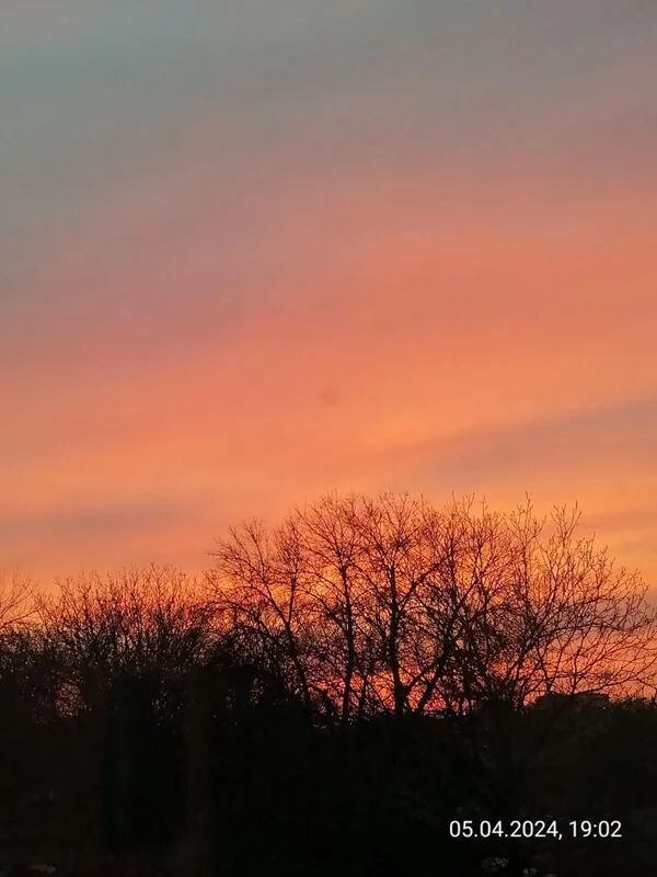 Такое разное небо