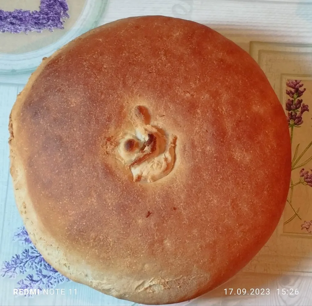 Tapтaлeтки & Ко