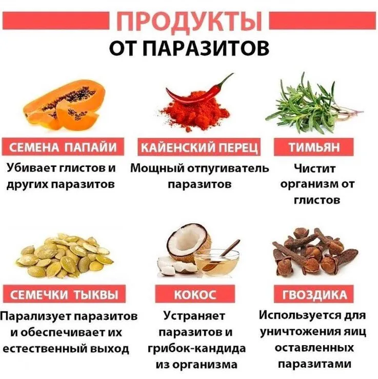 Медицинская инфографика