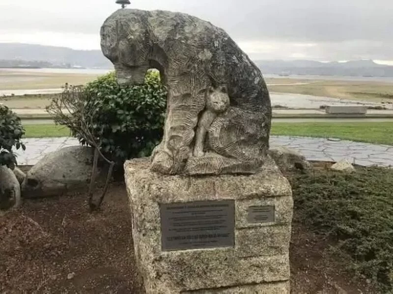 Это интересно!