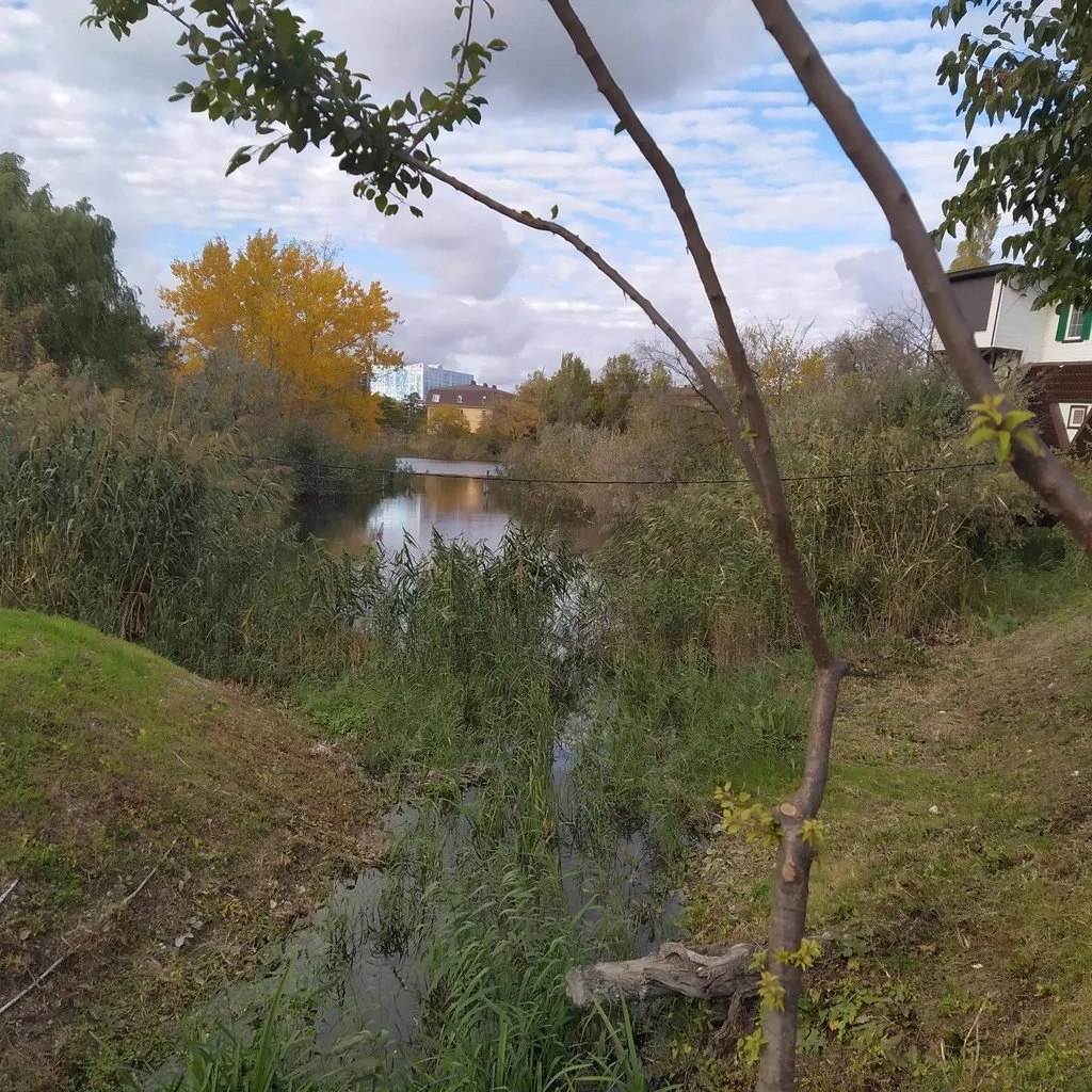 Чайная беседка