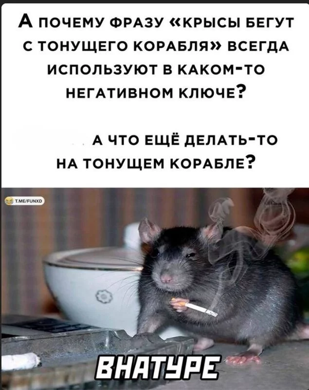 Посмеялся сам - поделись с другом!!!